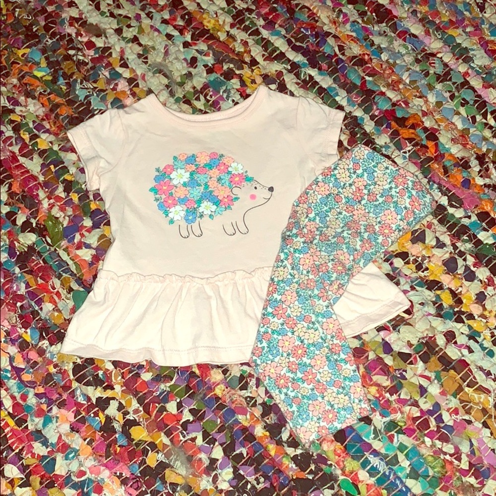 Carters 9 mo the two piece outfit